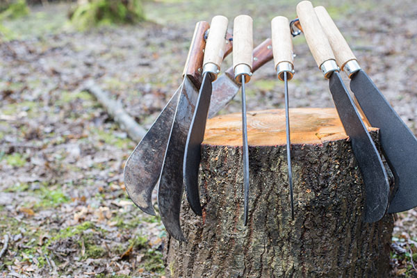 Seb Cox coppiced hazel
